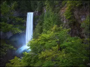 Skały, Wodospad, Kanada, Las, Kolumbia Brytyjska, Drzewa, Brandywine Falls