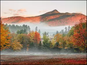 Lasy, White Mountains, Jesień, Góra, Kolorowe, Stan New Hampshire, Góry, Mgła, Mount Chocorua, Drzewa, Stany Zjednoczone
