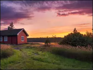 Las, Drzewa, Norwegia, Jezioro Vaeleren, Gmina Ringerike, Zachód słońca, Dom