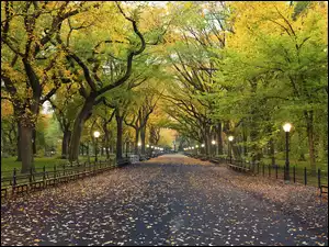 Alejka z ławkami w Central Park w Nowym Jorku