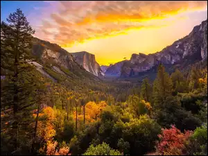 Stany Zjednoczone, Yosemite Valley, Park Narodowy Yosemite, Dolina, Jesień, Wschód słońca, Krzewy, Drzewa, Góry, Kalifornia