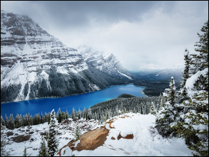 Ośnieżone, Drzewa, Chmury, Jezioro, Zima, Prowincja Alberta, Lasy, Park Narodowy Banff, Lake Peyto, Góry, Kanada