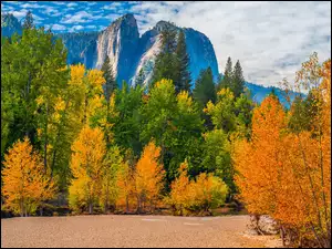 Kalifornia, Park Narodowy Yosemite, Chmury, Stany Zjednoczone, Góry, Drzewa, Jesień