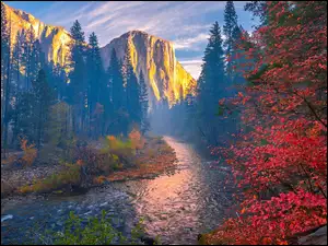 Mgła, Stany Zjednoczone, Jesień, Drzewa, Kalifornia, Rzeka Merced, Góry, Park Narodowy Yosemite