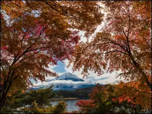 Japonia, Drzewa, Wyspa Honsiu, Chmury, Jesień, Góra Fudżi, Jezioro, Jesień, Lake Kawaguchi