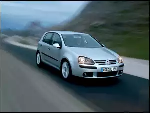 Volkswagen Golf 5, Srebrny