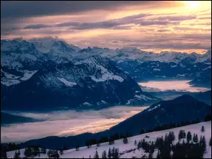 Zachód słońca, Zima, Drzewa, Chmury, Góry, Mgła, Szwajcaria, Prealpy