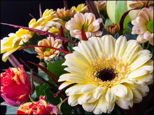 Różnorodne kwiaty w bukiecie