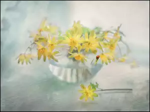 Kwiaty, Owad, Żółte, Ziarnopłon wiosenny, Biedronka