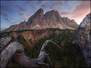 Drzewa, Góry, Wurzjoch, Chmury, Dolomity, Passo del Erbe, Włochy, Przełęcz