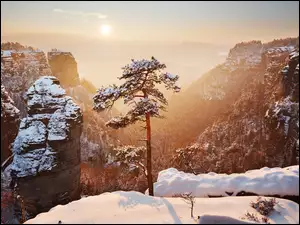Mgła, Śnieg, Słońce, Zima, Park Narodowy Saskiej Szwajcarii, Niemcy, Skały, Góry Połabskie, Drzewo, Poranek