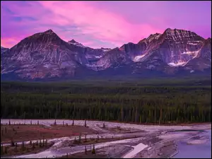 Park Narodowy Jasper, Góry, Różowe, Rzeka, Canadian Rockies, Niebo, Kanada, Las
