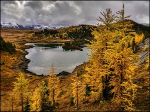 Jezioro, Jesień, Drzewa, Chmury, Góry, Modrzewie