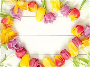 Kwiaty, Tulipany, Deski, Wiosna, Serce, Bukiet, Kolorowe