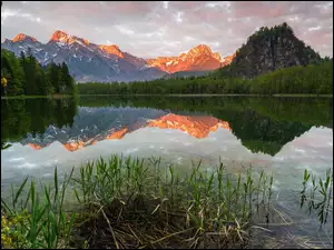 Jezioro Almsee, Odbicie, Austria, Góry, Chmury, Drzewa, Las