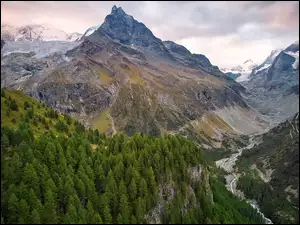 Las, Góry, Dolina, Szwajcaria, Drzewa, Rzeka
