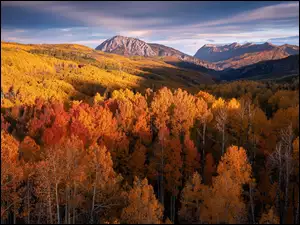 Jesień, Góry, Drzewa, Stany Zjednoczone, Las, Kolorado