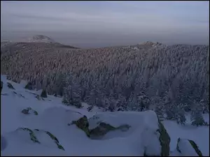 Zimowe góry z ośnieżonym lasem