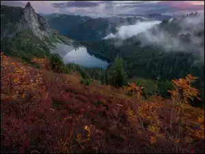 Jezioro, Las, Mgła, Góry, Jesień, Krzewy, Drzewa