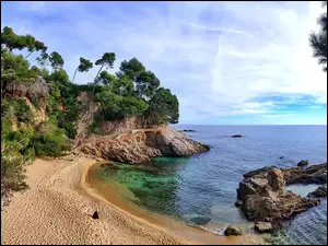 Gmina Calonge, Morze, Plaża, Katalonia, Wybrzeże, Drzewa, Hiszpania, Skały