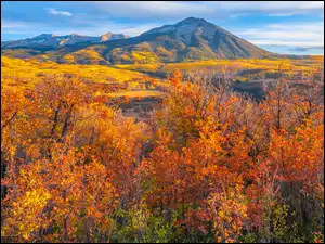 Gunnison, Stany Zjednoczone, Kebler Pass, Jesień, Kolorado, Rezerwat, Drzewa, Góry