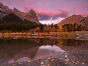 Jesień, Alberta, Liście, Quarry Lake, Drzewa, Canmore, Góry, Kanada, Jezioro