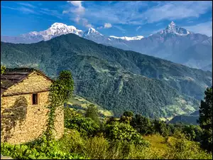 Dom, Nepal, Himalaje, Góry, Drzewa