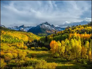 Drzewa, Łąka, Stany Zjednoczone, Jesień, Kolorado, Mount Sneffels, Góra