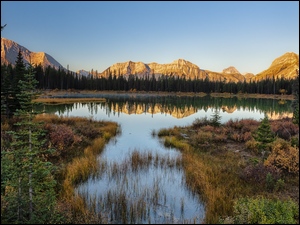 Staw, Buller Pond, Kanada, Góry Skaliste, Alberta, Rośliny, Drzewa