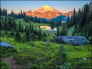 Tipsoo Lake, Stany Zjednoczone, Mount Rainier, Drzewa, Park Narodowy Mount Rainier, Jezioro, Kamienie, Góry