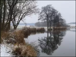 Trawy na brzegu jeziora oprószone śniegiem