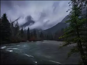 Gold Creek, Rzeka, Drzewa, Kanada, Góry, Kolumbia Brytyjska