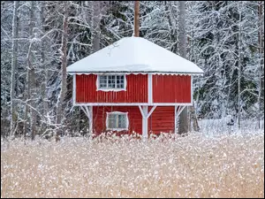 Dom w lesie pośród zaśnieżonych drzew