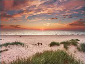 Kępki traw na plaży nad Morzem Bałtyckim o zachodzie słońca