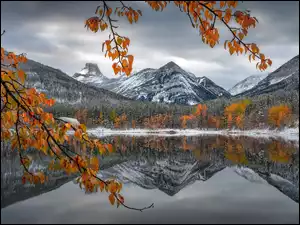 Jezioro, Góry Skaliste, Park Narodowy Banff, Kanada, Drzewa, Alberta