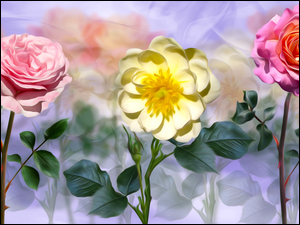 Trzy róże w grafice na kolorowym tle