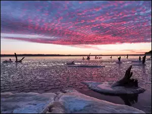 Różowe chmury nad oblodzonym jeziorem z konarami
