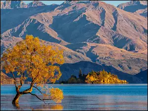 Pochylone, Jezioro Wanaka, Góry, Nowa Zelandia, Drzewo, Jesień