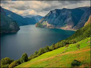 Aurlandsfjord, Zielone, Góry, Gmina Aurland, Wzgórze, Fiord, Norwegia, Drzewa