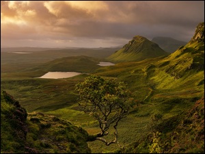Jeziora, Drzewo, Szkocja, Góry, Quiraing, Wyspa Skye, Chmury