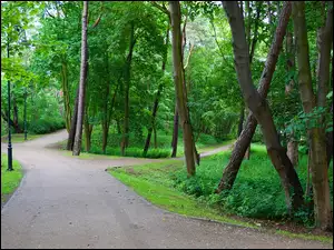 Park z alejkami z zielenią i drzewami