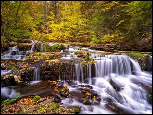 Kaskada kamiennego wodospadu w jesiennym lesie