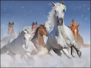 Pędzące konie