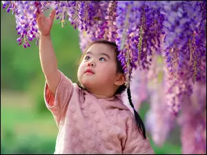 Dziewczynka dotykająca kwiatów glicynii