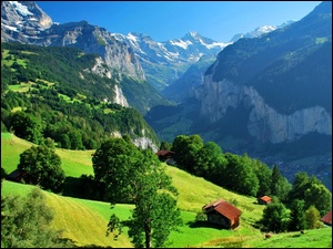 Szwajcaria, Góry, Domy, Wengen