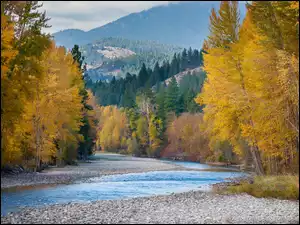 Kolorowa jesień w górach nad rzeką