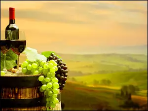 Beczka z winem i winogronami