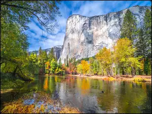 Merced River, Stany Zjednoczone, Jesień, Drzewa, Kalifornia, Rzeka, Góry, Park Narodowy Yosemite