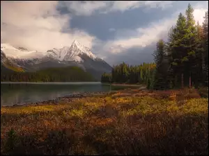 Jesienna roślinność na tle ośnieżonych gór Canadian Rockies