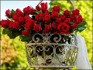 Bukiet czerwonych róż w kwietniku